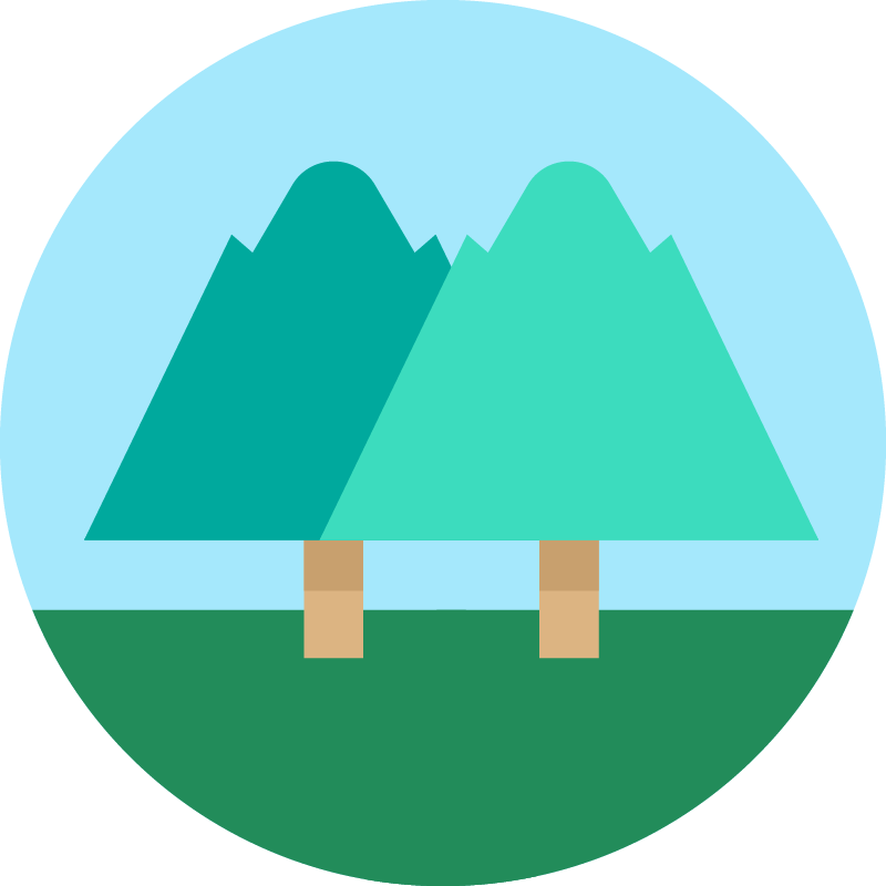 社員のひとこと